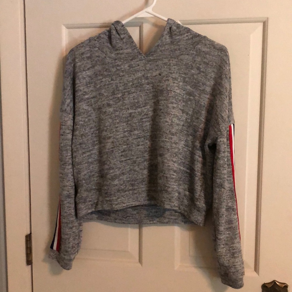 Charlotte Russe Cropped Hooded Sweatshirt